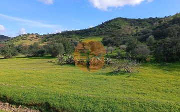 Property slide 26