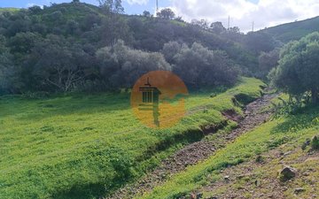 Property slide 35