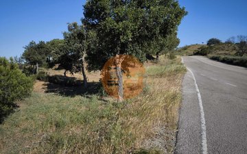 Property slide 42
