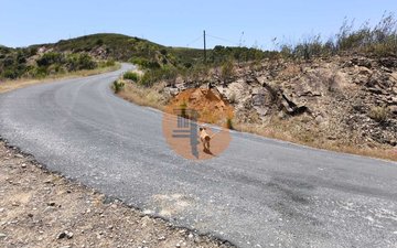 Property slide 21
