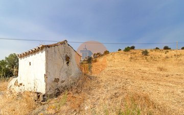 Property slide 31