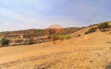 Property slide 33