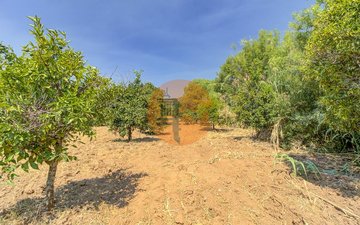 Property slide 42