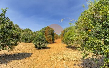 Property slide 43