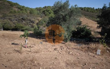 Property slide 27