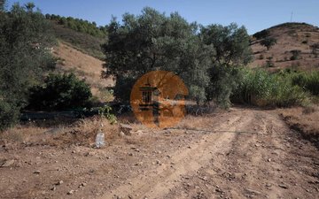 Property slide 29
