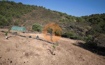 Property slide 32
