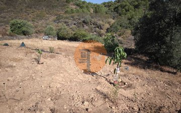 Property slide 30