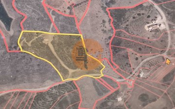 Property slide 8