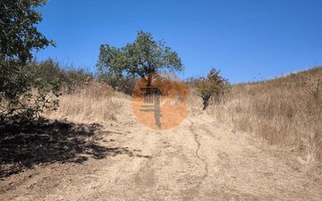 Property slide 23