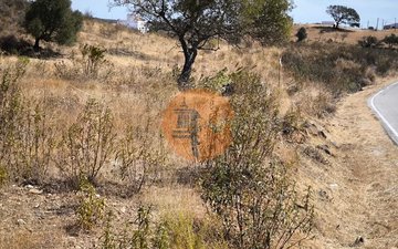 Property slide 37