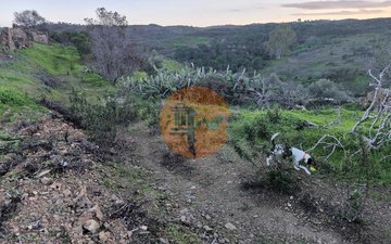 Property slide 29