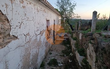 Property slide 49