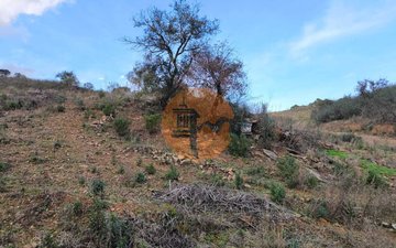 Property slide 23