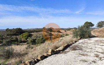Property slide 13