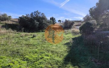 Property slide 37