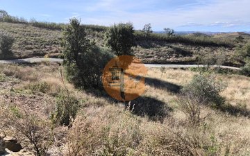 Property slide 39