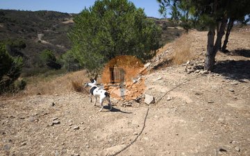 Property slide 25