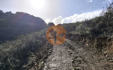 Property slide 32