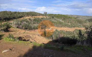 Property slide 37