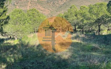 Property slide 27