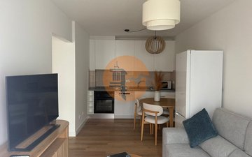 Property slide 7