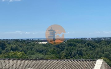 Property slide 30