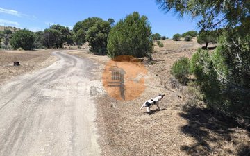 Property slide 10
