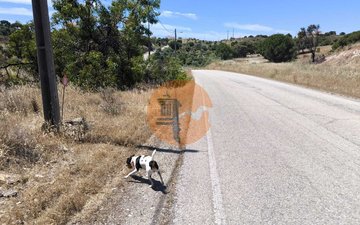 Property slide 20