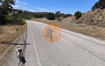 Property slide 21