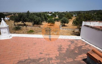 Property slide 13