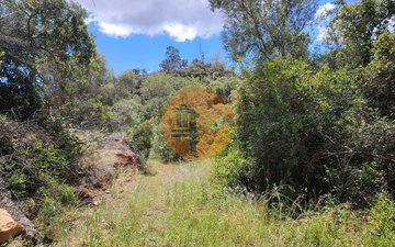 Property slide 3