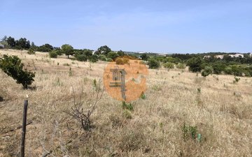 Property slide 50