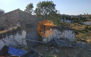 Property slide 31