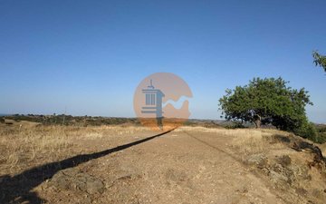 Property slide 41