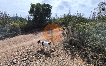 Property slide 31