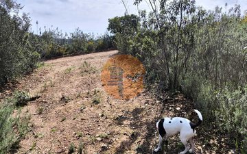 Property slide 40