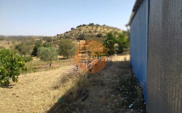 Property slide 4