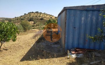 Property slide 6