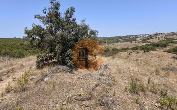 Property slide 30