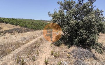 Property slide 36