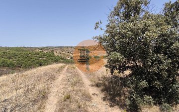 Property slide 37