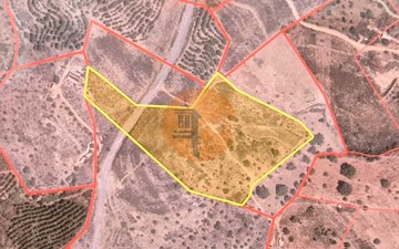 Property slide 21