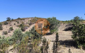 Property slide 27