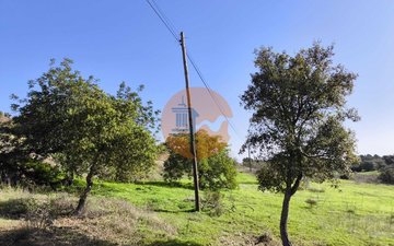 Property slide 9