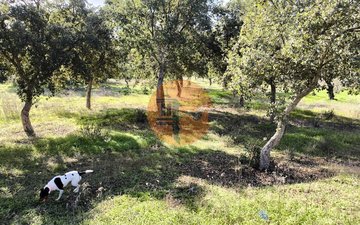 Property slide 1
