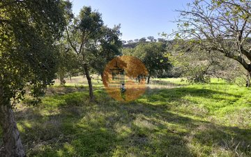 Property slide 21