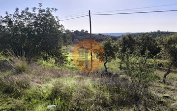Property slide 30