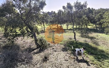 Property slide 32