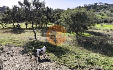 Property slide 33